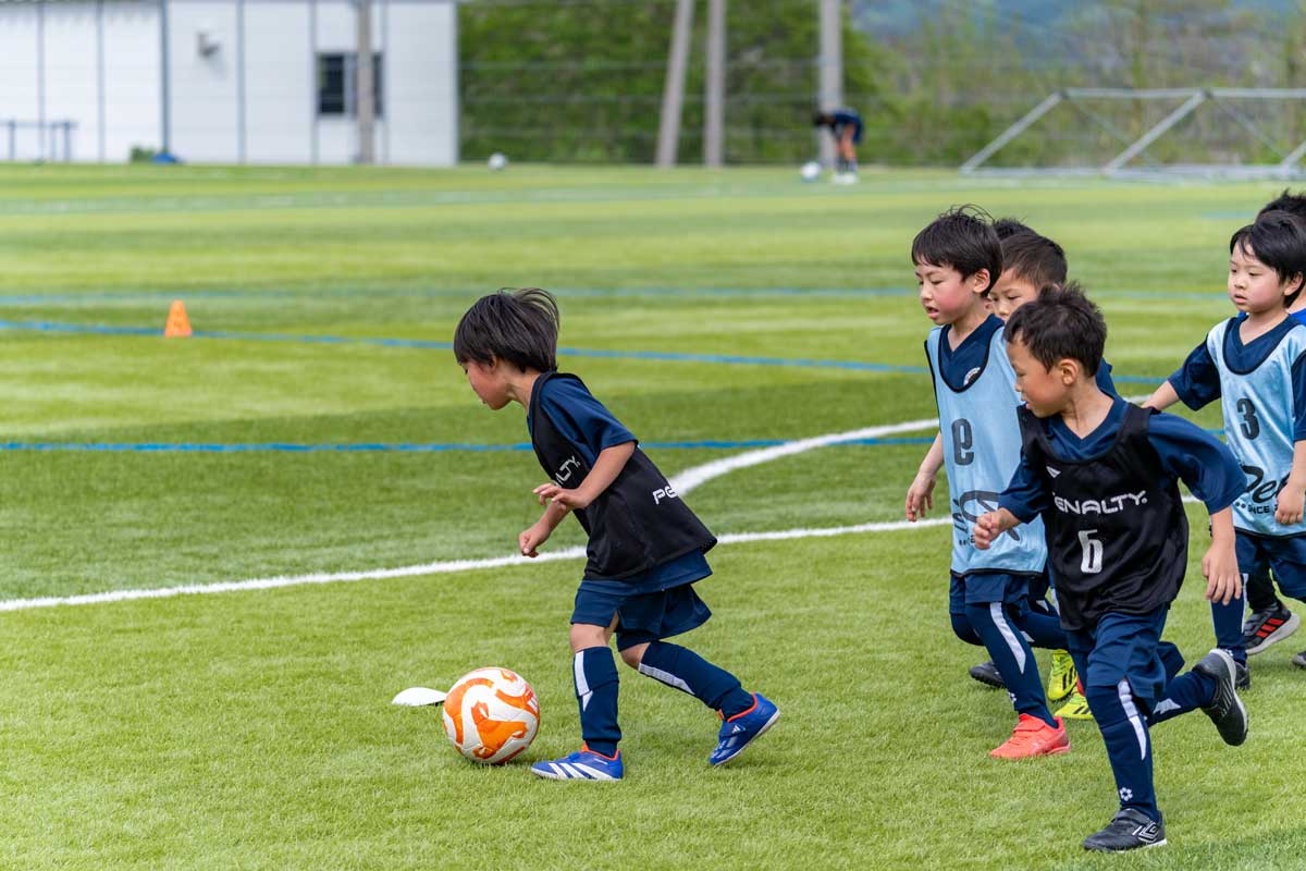 柏崎 サッカー 1年生